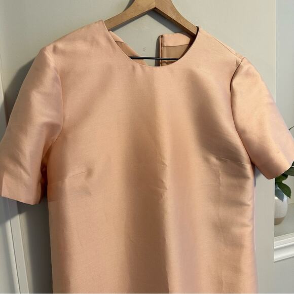 NWT Stella McCartney Pink Cotton Silk Lace Embroidered Shift Mini Dress 42 M - Picture 7 of 16